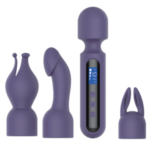 Interchangeable Head Compact Vibrator with LCD Screen